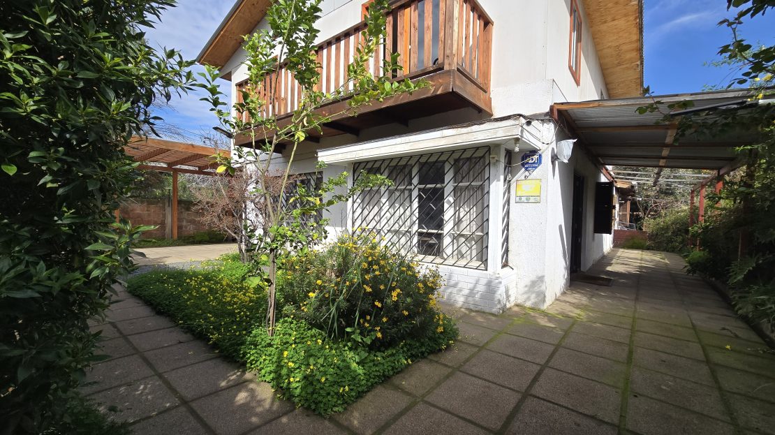 video image